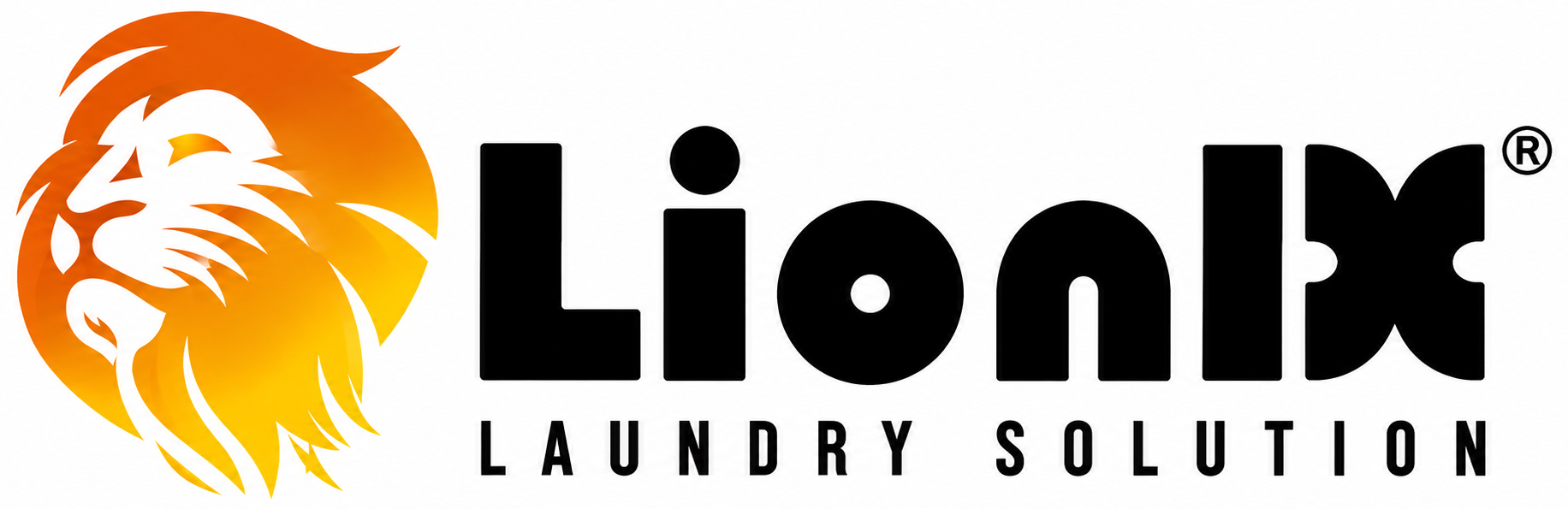 LionIX Laundry Solution